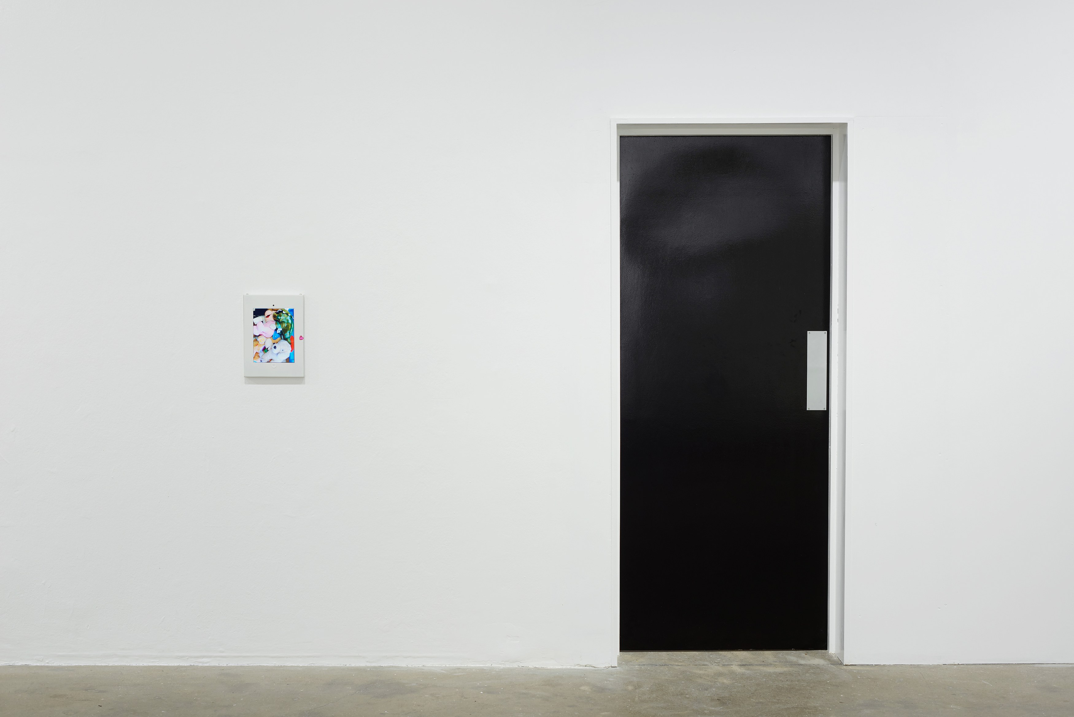 Ghislaine Leung, Constitution at Chisenhale Gallery, photo 33