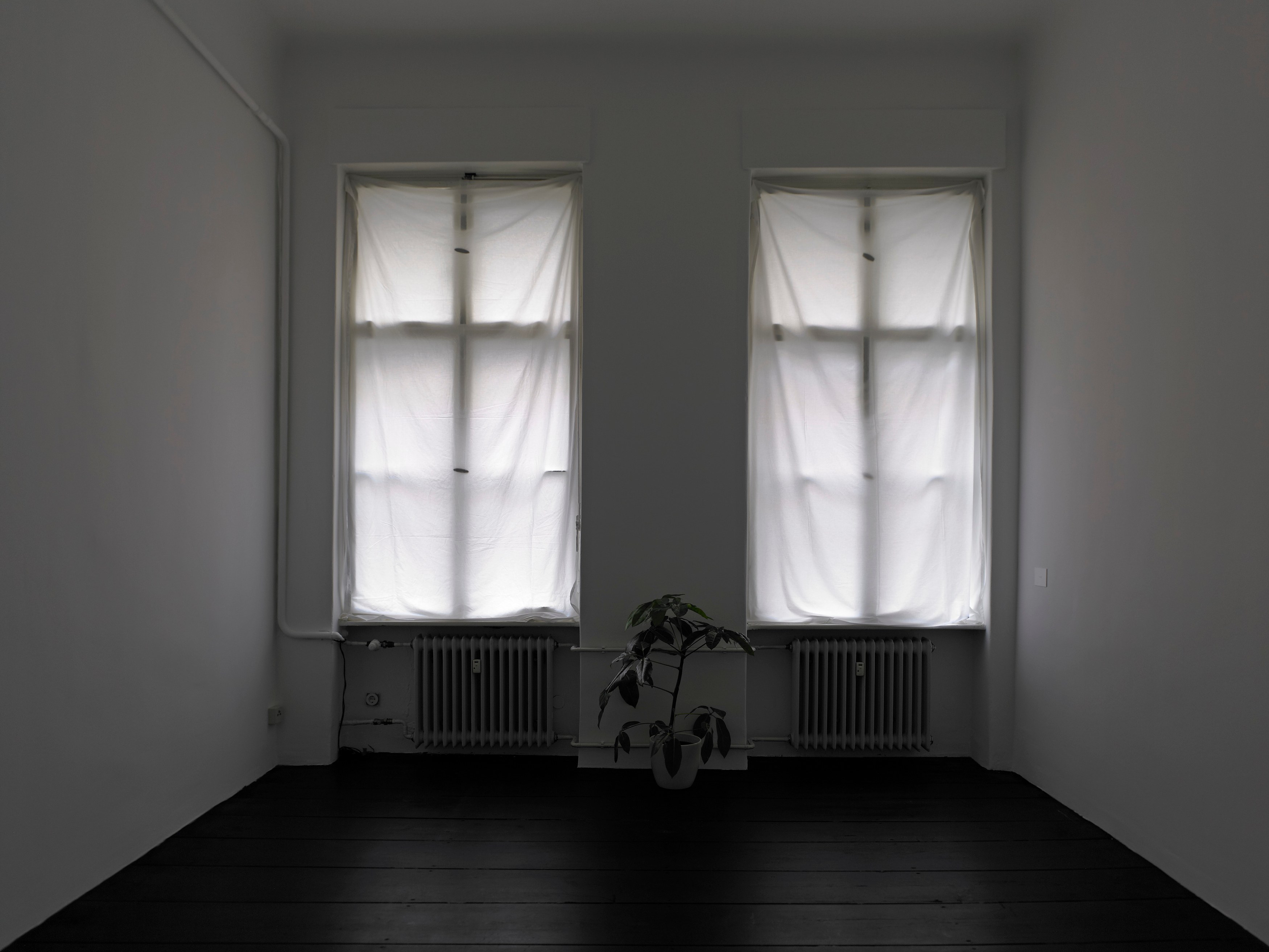 Juliette Blightman, I hope one day soon you'll come and visit me here at Isabella Bortolozzi, photo 14