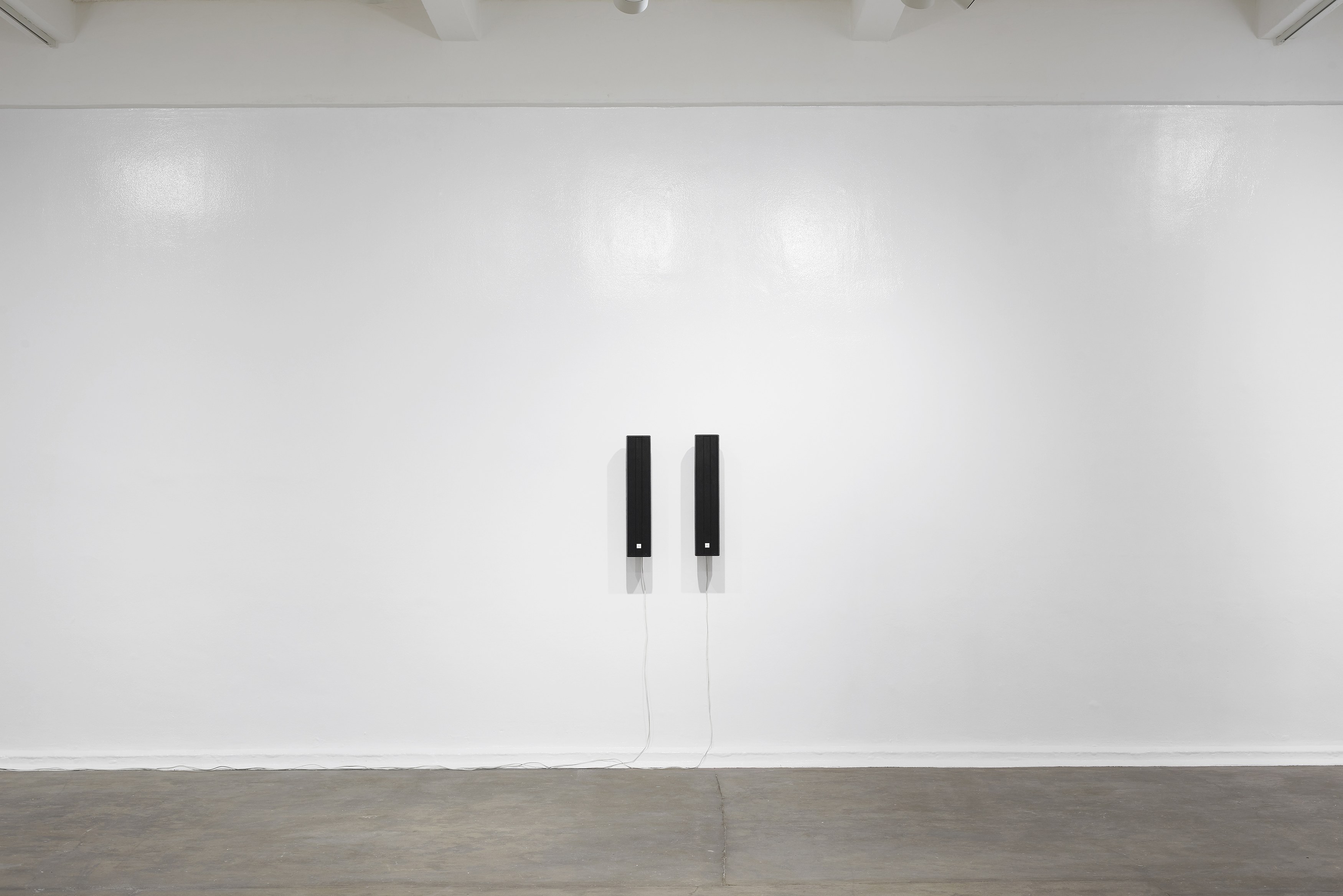 Ghislaine Leung, Constitution at Chisenhale Gallery, photo 40