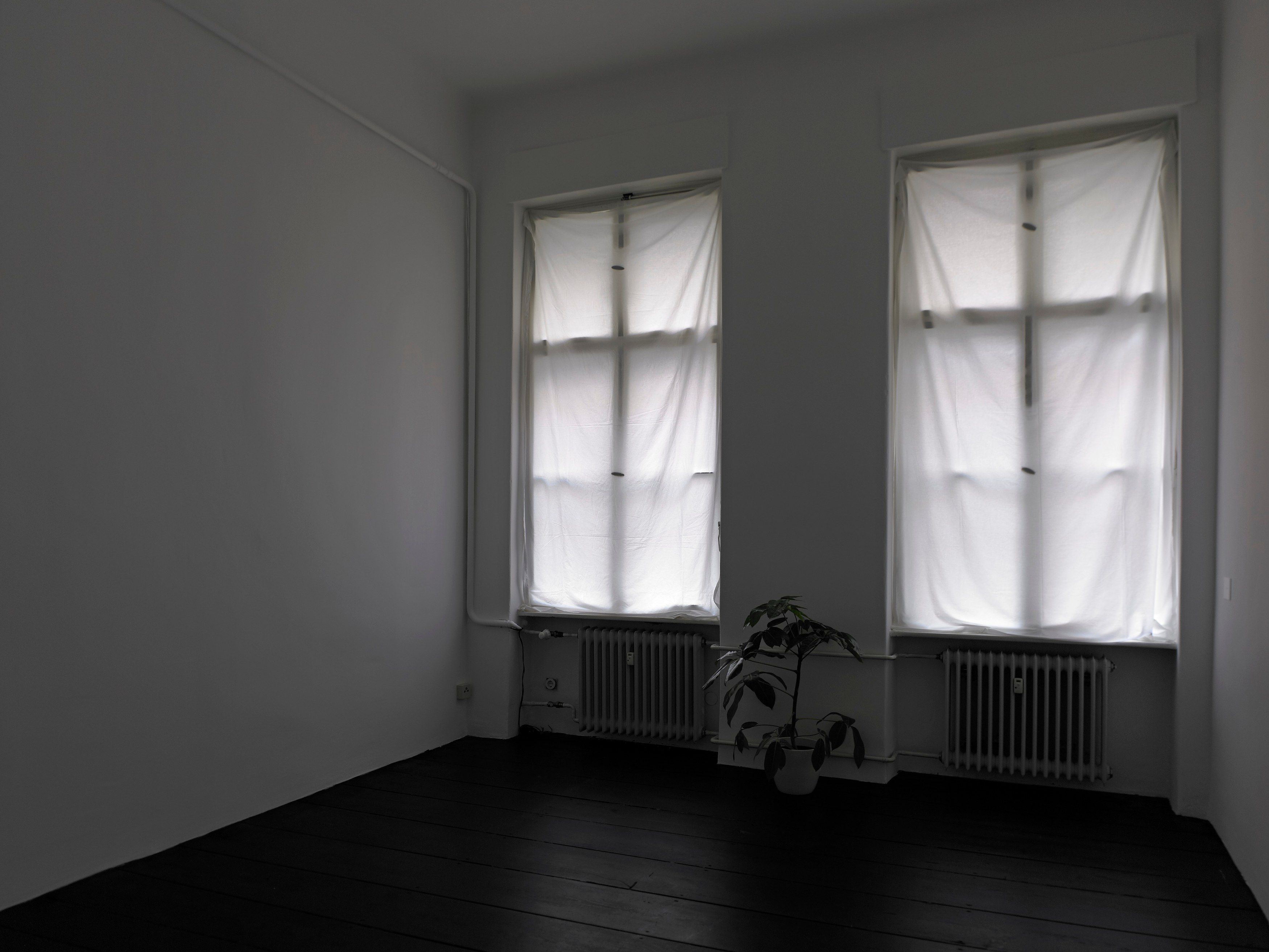 Juliette Blightman, I hope one day soon you'll come and visit me here at Isabella Bortolozzi, photo 15