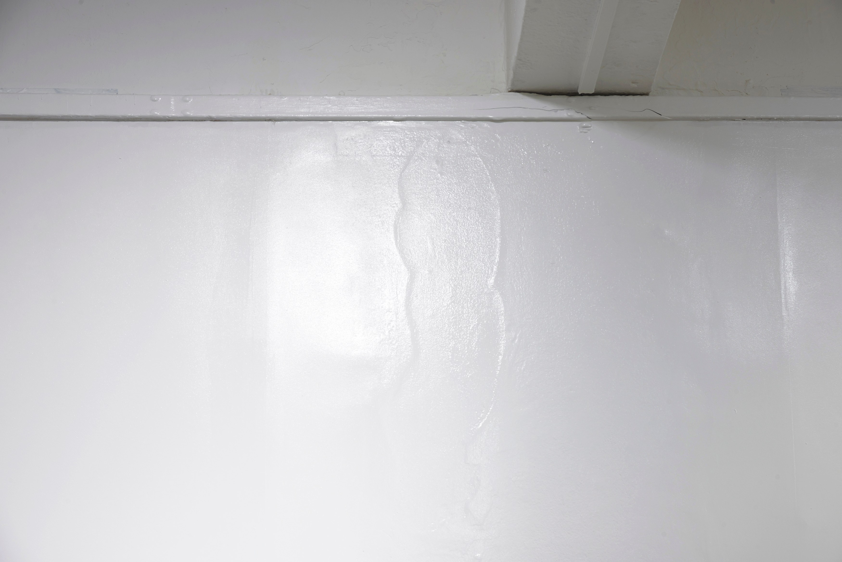 Ghislaine Leung, Constitution at Chisenhale Gallery, photo 42