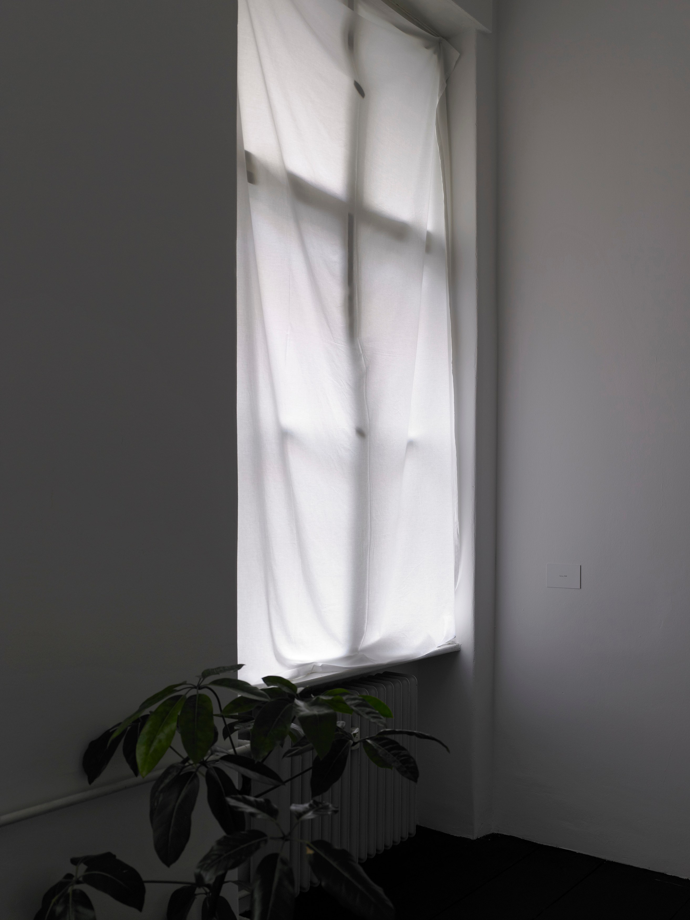 Juliette Blightman, I hope one day soon you'll come and visit me here at Isabella Bortolozzi, photo 17
