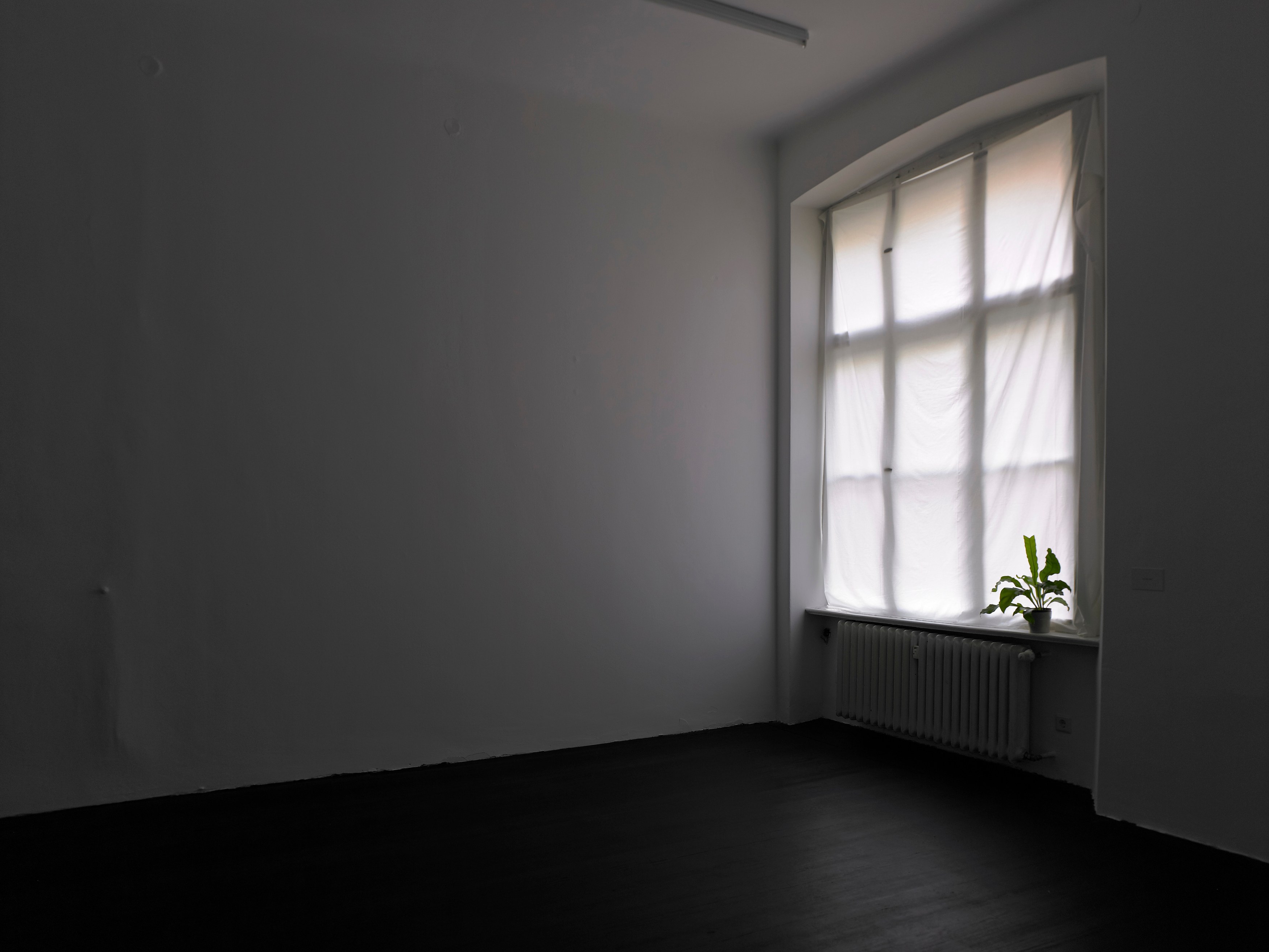 Juliette Blightman, I hope one day soon you'll come and visit me here at Isabella Bortolozzi, photo 23