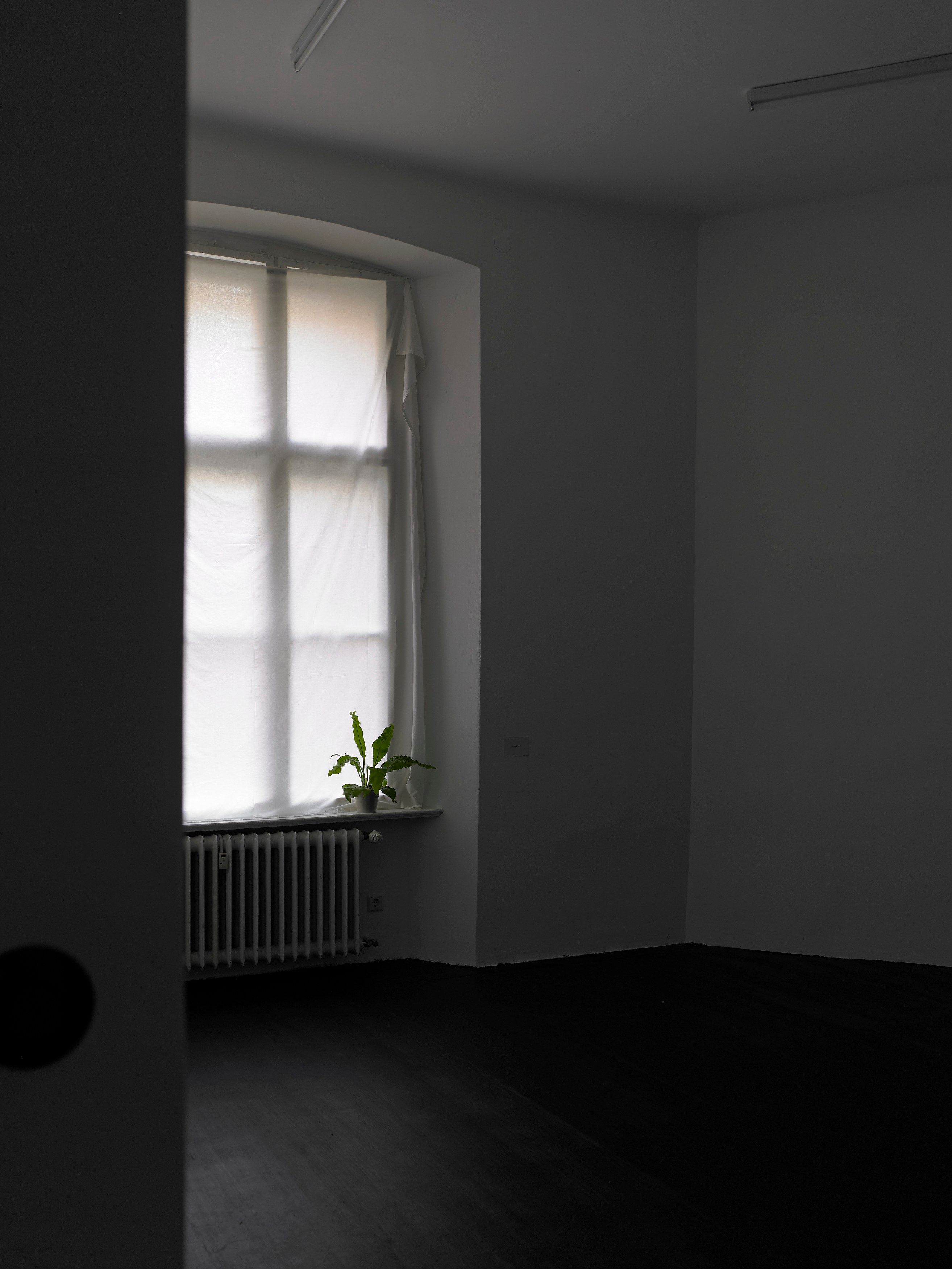 Juliette Blightman, I hope one day soon you'll come and visit me here at Isabella Bortolozzi, photo 24