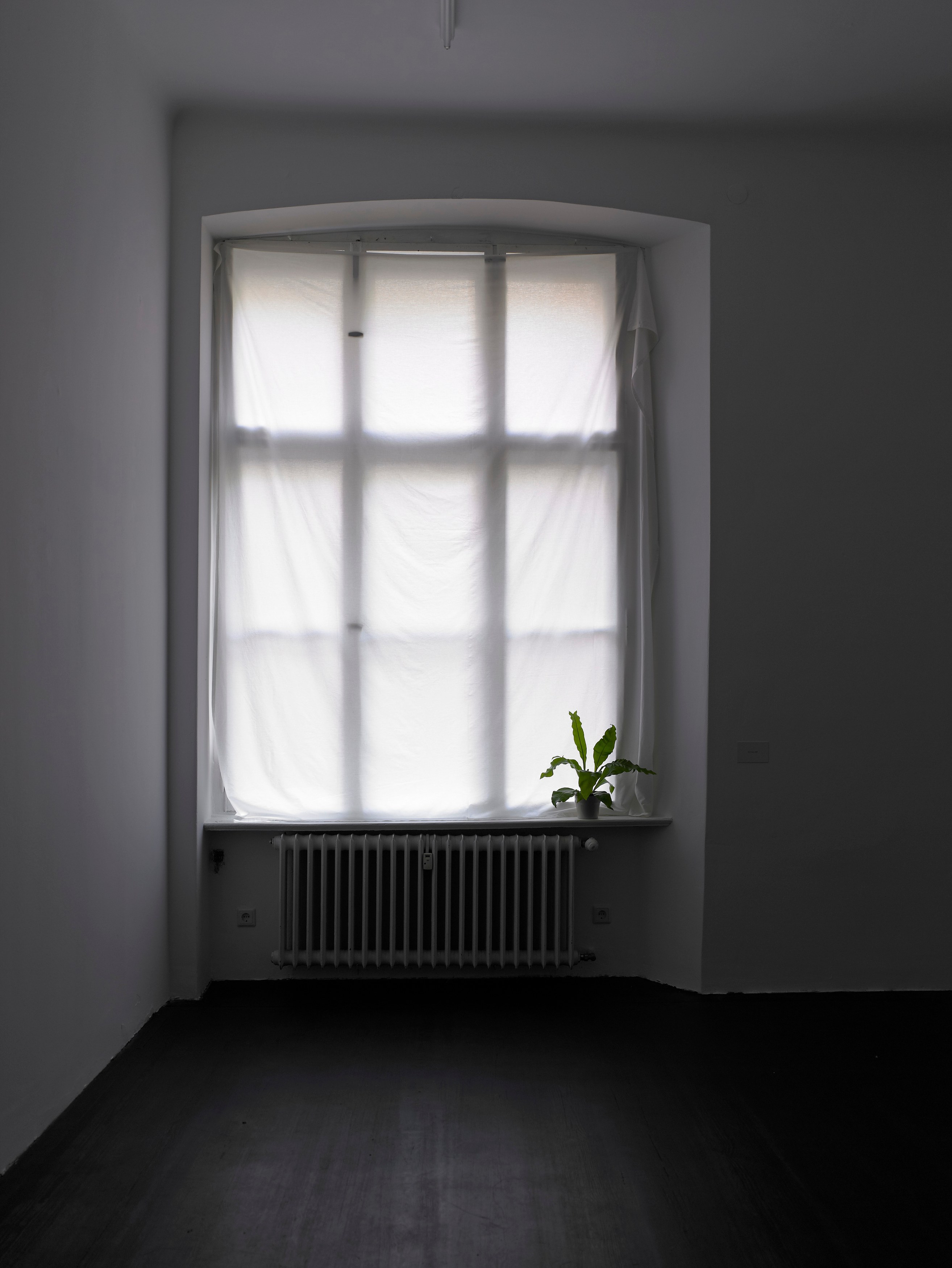 Juliette Blightman, I hope one day soon you'll come and visit me here at Isabella Bortolozzi, photo 25