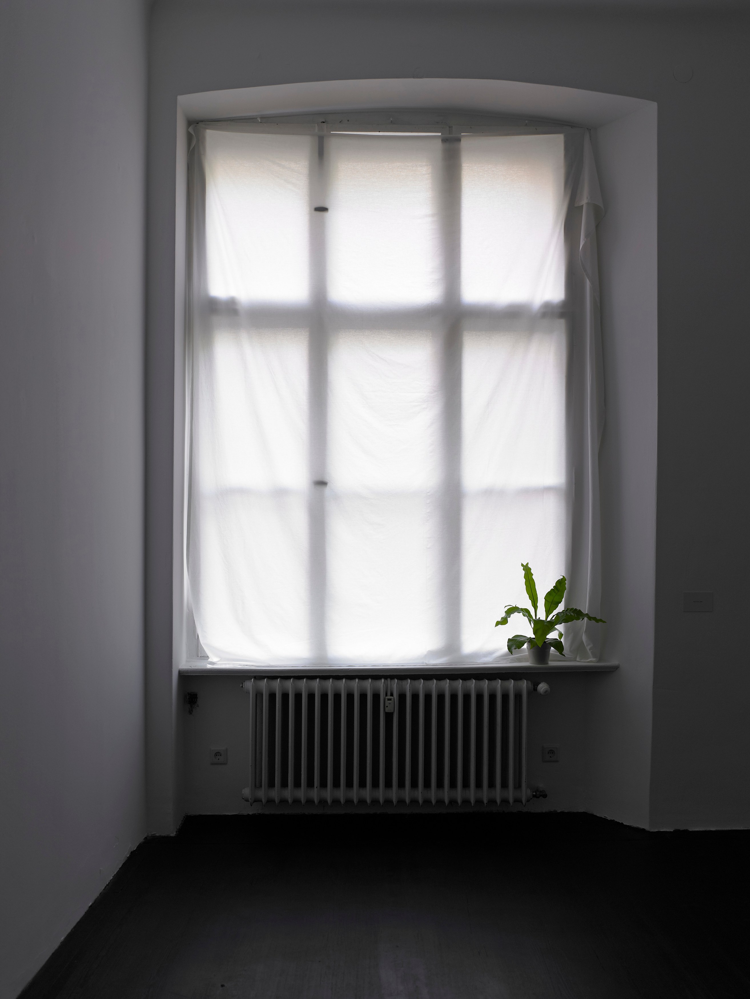 Juliette Blightman, I hope one day soon you'll come and visit me here at Isabella Bortolozzi, photo 26