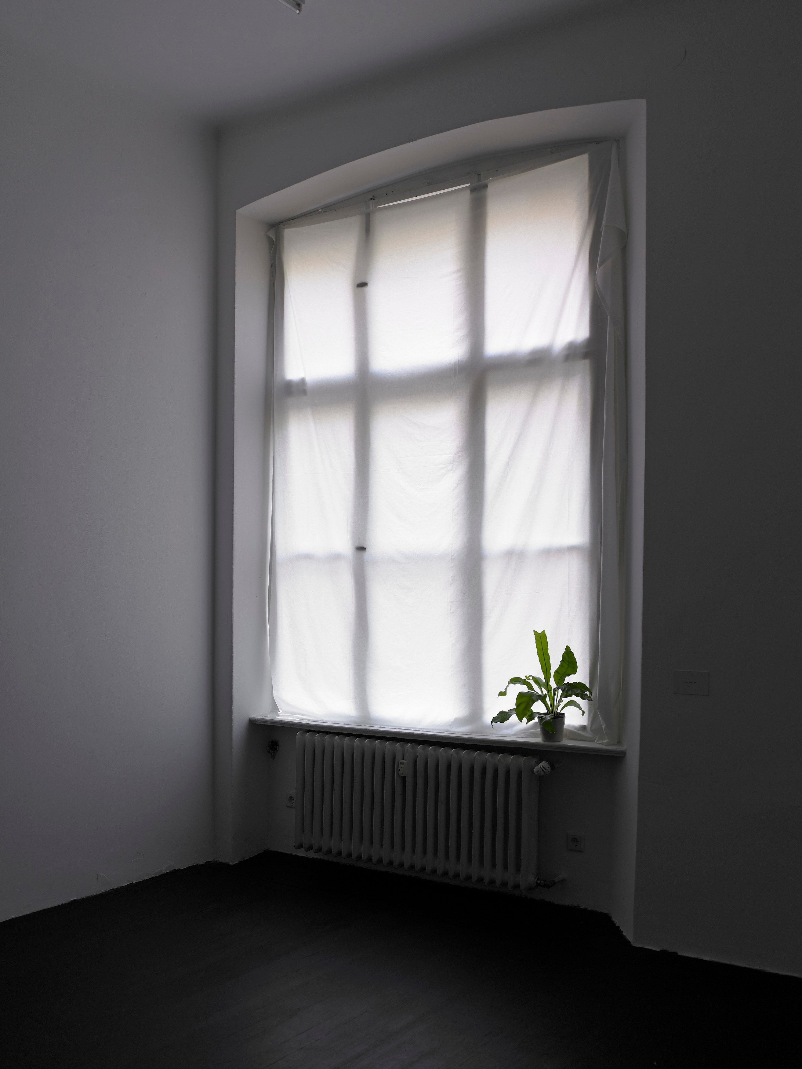 Juliette Blightman, I hope one day soon you'll come and visit me here at Isabella Bortolozzi, photo 27