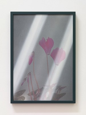 Image 4 of 14