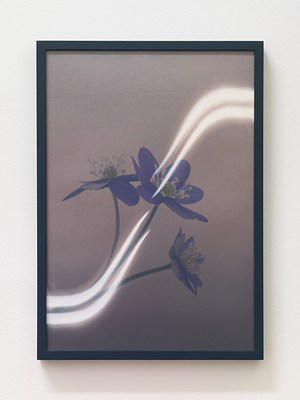 Image 5 of 14
