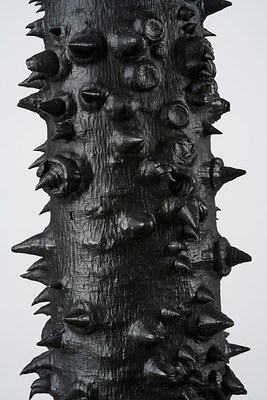Image 24 of 67