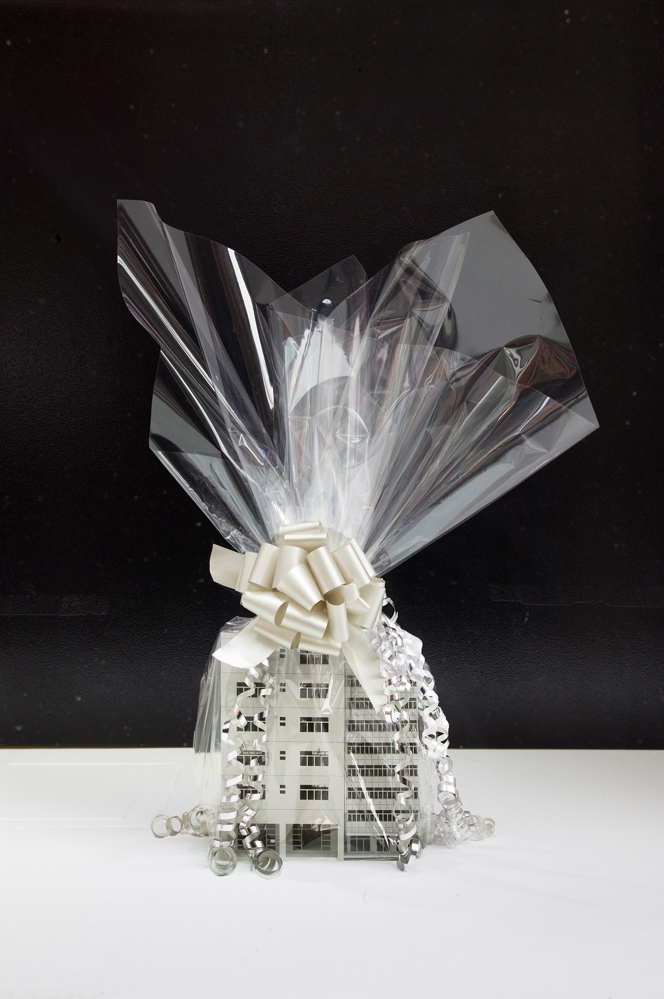 Ghislaine Leung, Power Relations at Maxwell Graham, photo 20