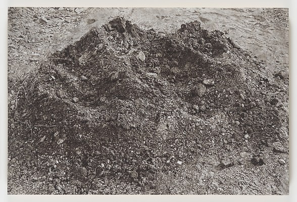 Image 1 of 17