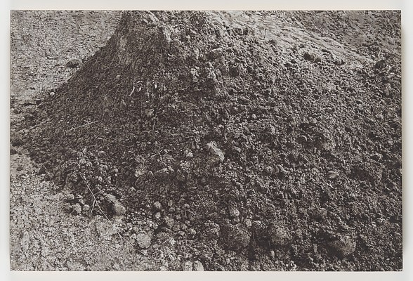 Image 2 of 17