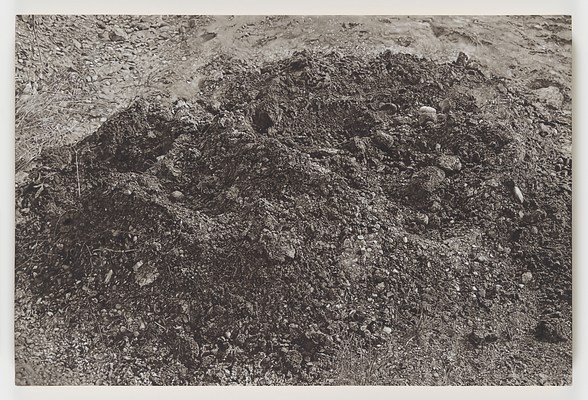 Image 5 of 17
