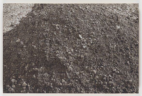 Image 9 of 17