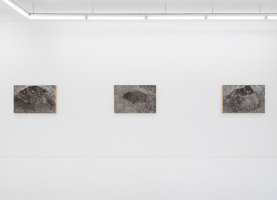 Image 11 of 17