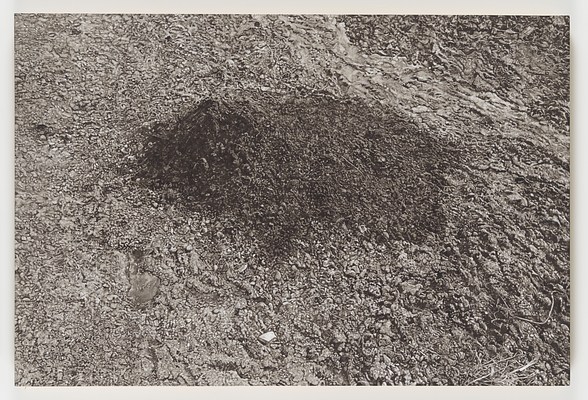 Image 13 of 17