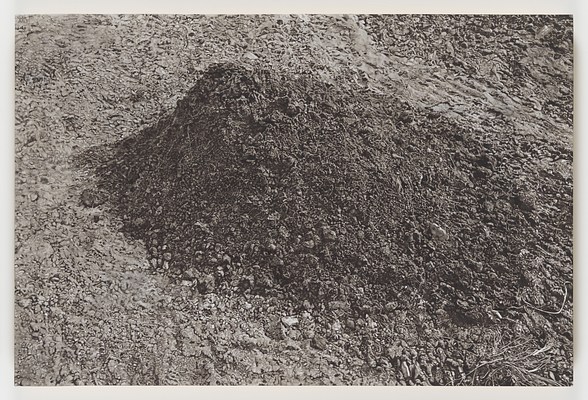 Image 16 of 17
