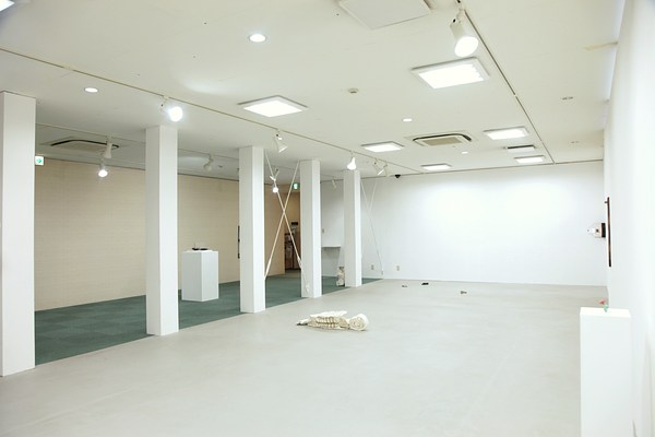 Image 10 of 74