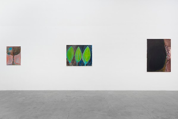 Image 4 of 37
