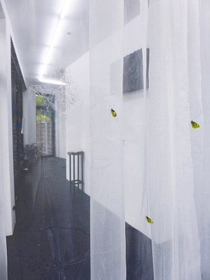 Image 8 of 30