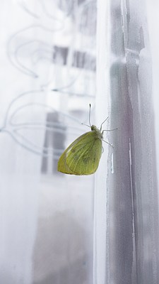 Image 9 of 30