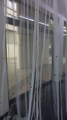 Image 10 of 30