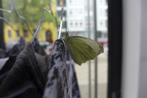 Image 28 of 30