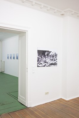 Image 8 of 52