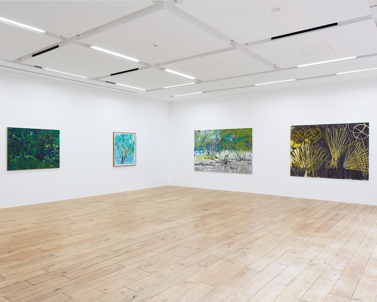 Tom　鴉　深瀬昌久　Rat Hole Gallery Hurvin Anderson at Rat Hole, Tokyo | Contemporary Art Library