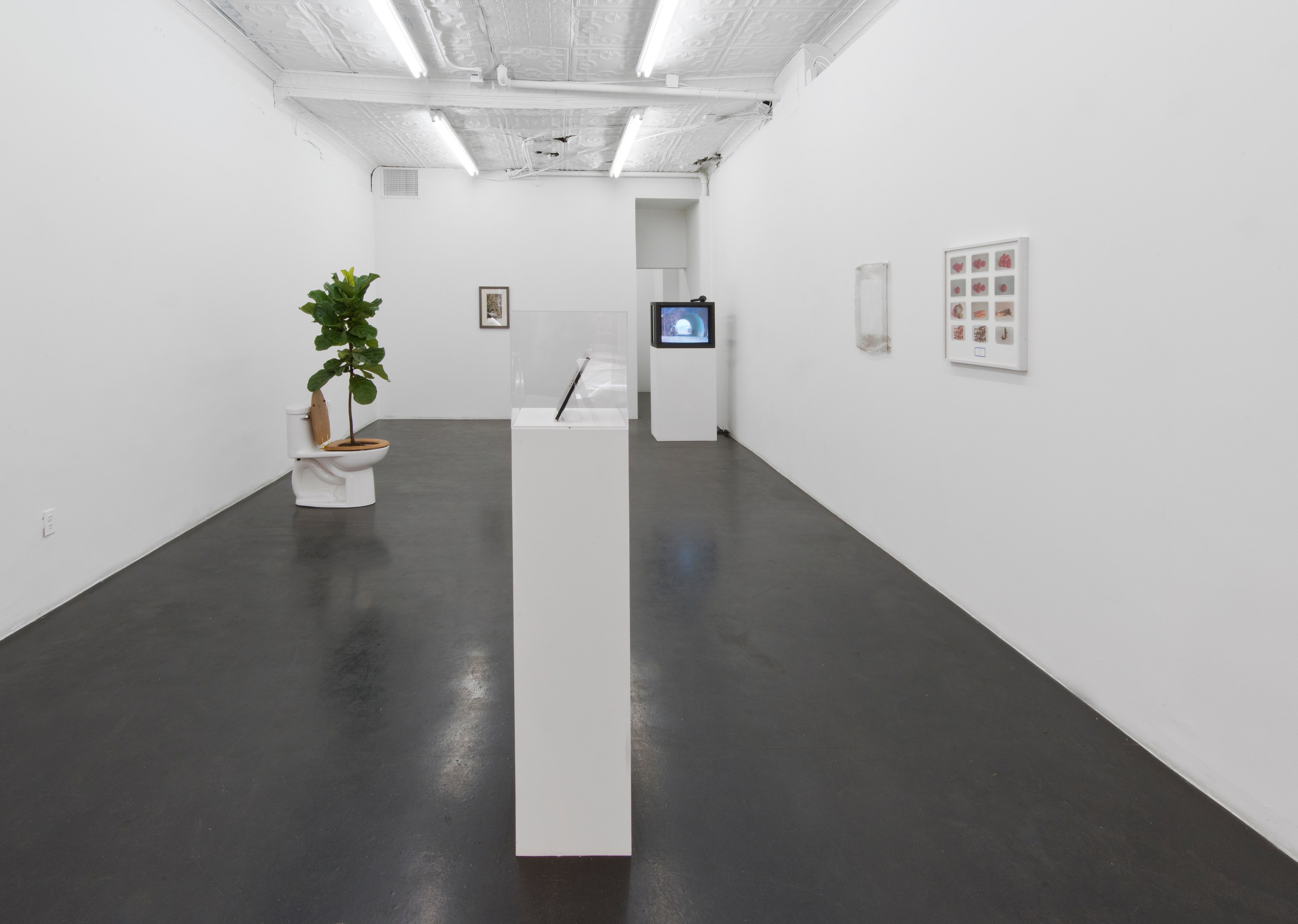 Juliette Blightman, The Handler of Gravity at Maxwell Graham, photo 2