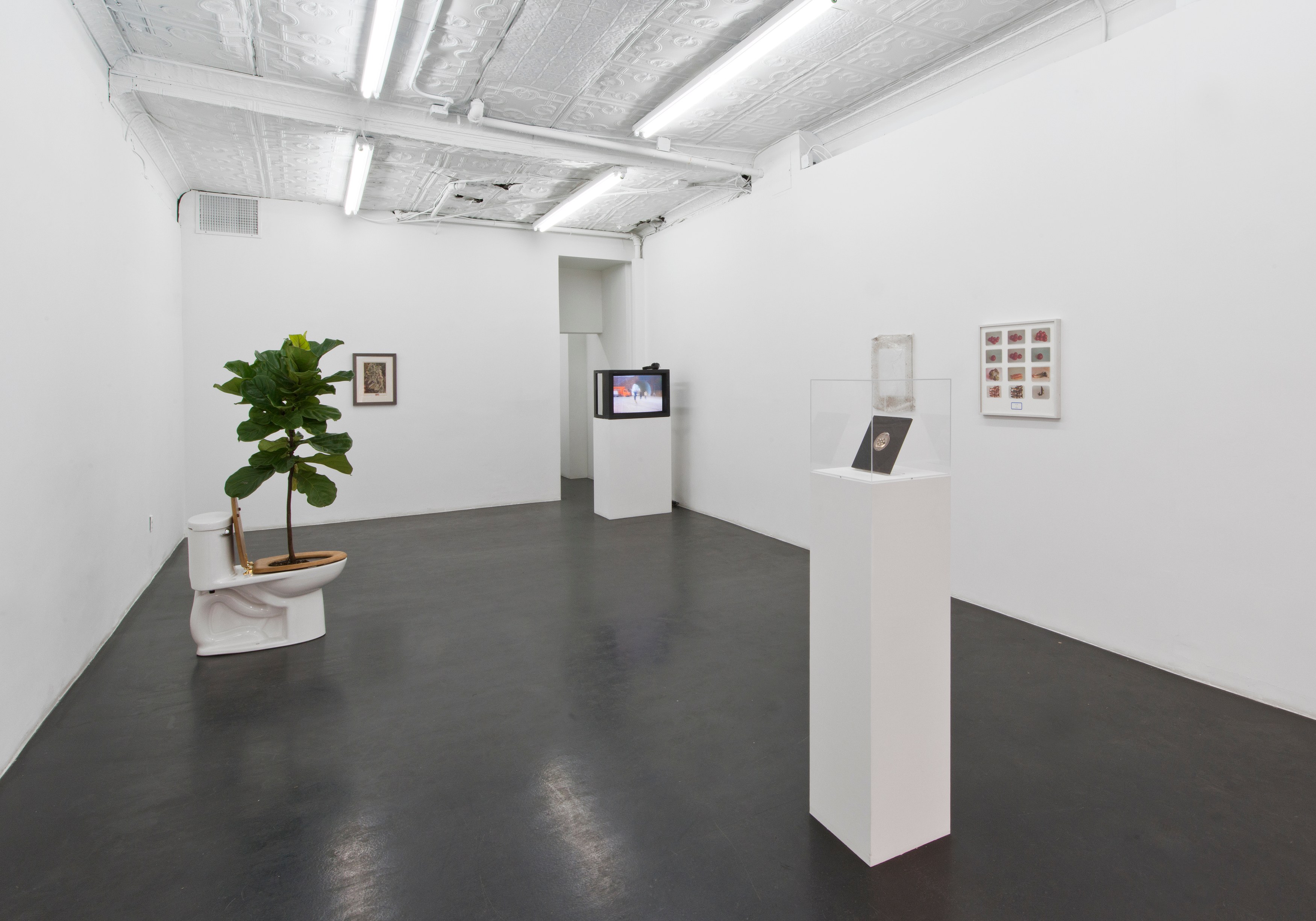 Juliette Blightman, The Handler of Gravity at Maxwell Graham, photo 3