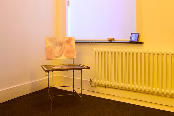 Image 4 of 11