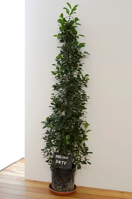 Image 10 of 11