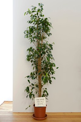 Image 11 of 11