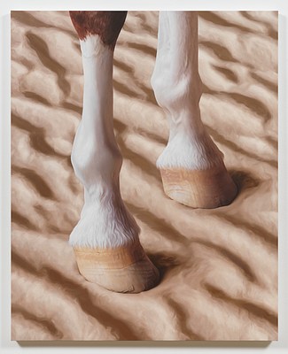 Image 11 of 15