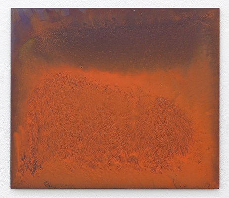 Image 8 of 14