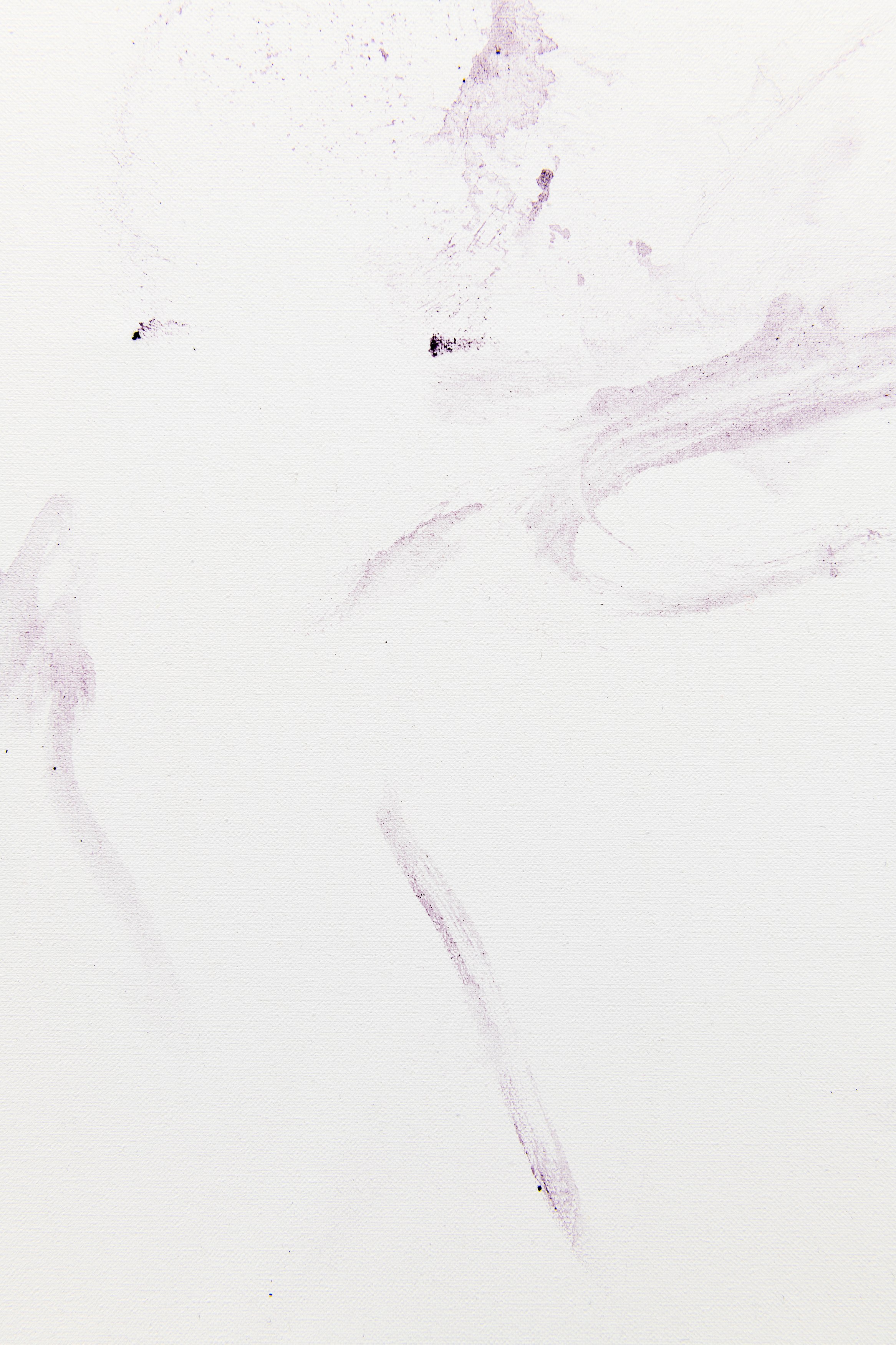 Reena Spaulings, Life at Sea at MD 72, photo 11