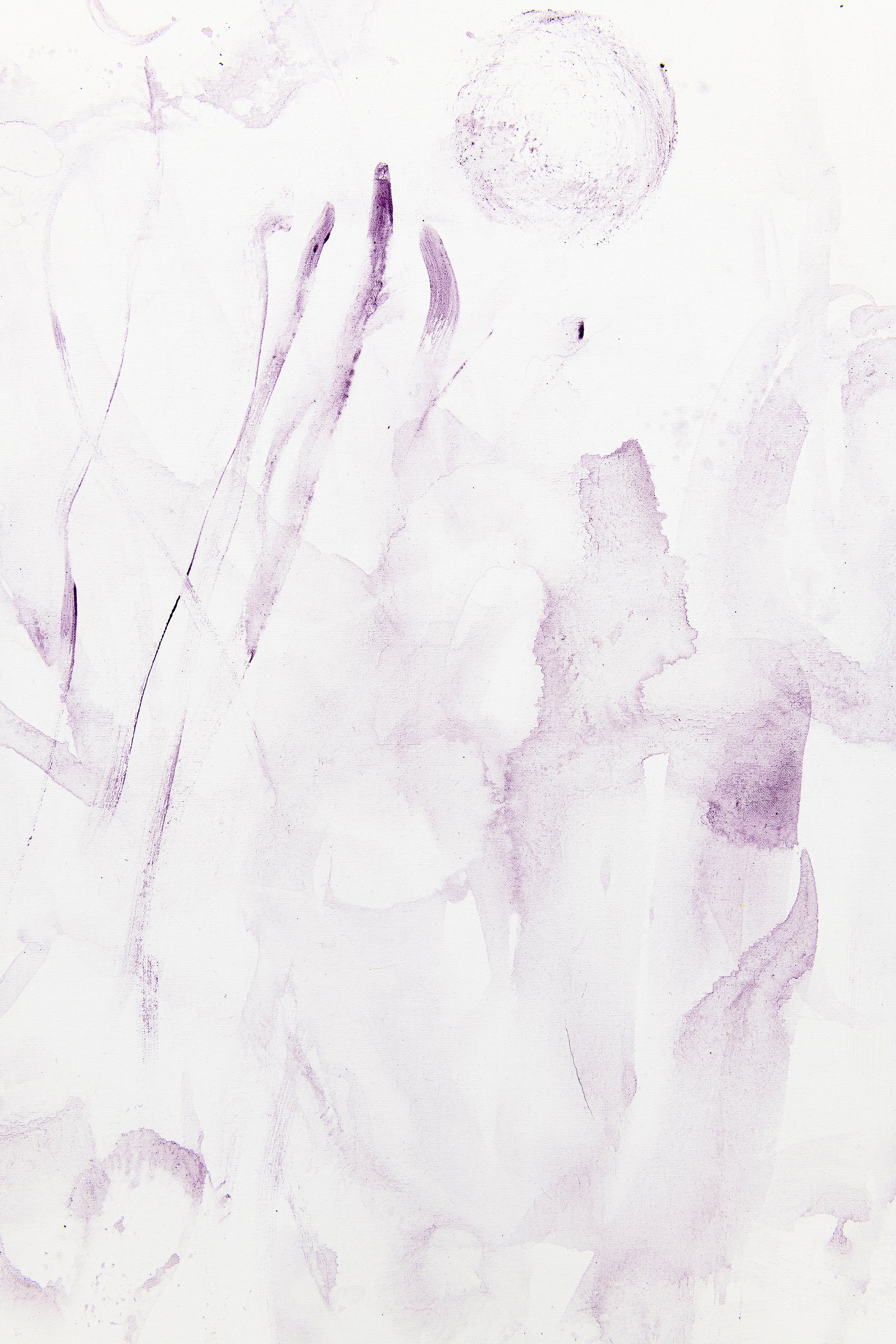 Reena Spaulings, Life at Sea at MD 72, photo 27