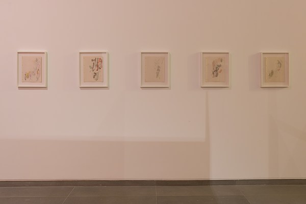 Image 11 of 40