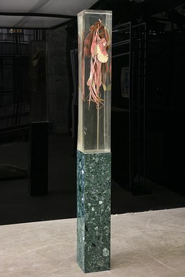 Image 6 of 22