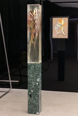 Image 7 of 22