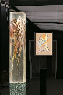 Image 8 of 22