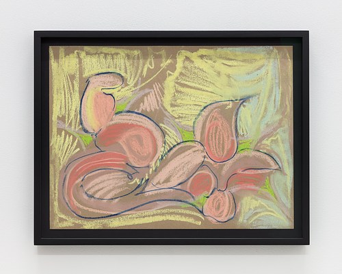 Image 19 of 22