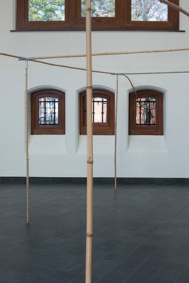 Image 7 of 36