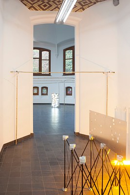 Image 8 of 36