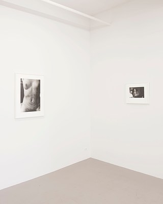 Image 3 of 41