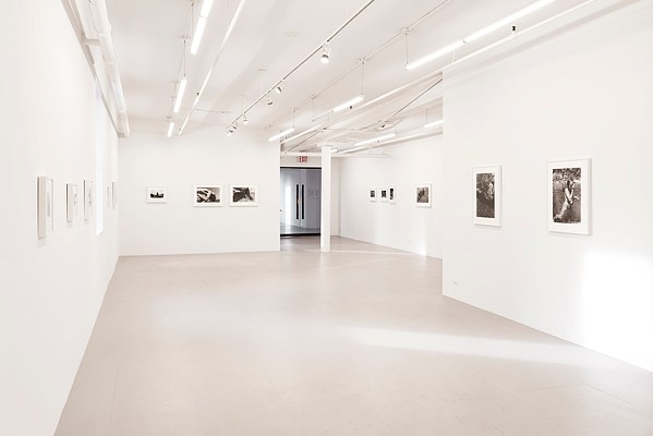 Image 10 of 41