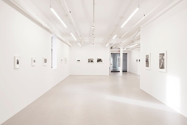 Image 12 of 41