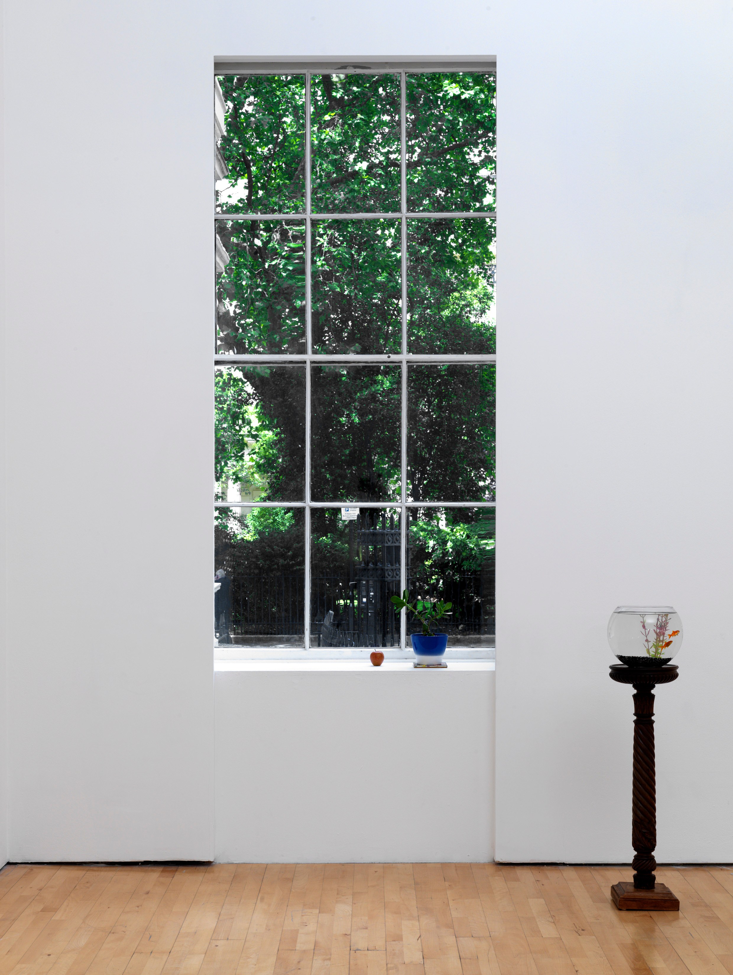 Juliette Blightman, Please Water the Plant and Feed the Fish at Institute of Contemporary Arts, London, photo 6